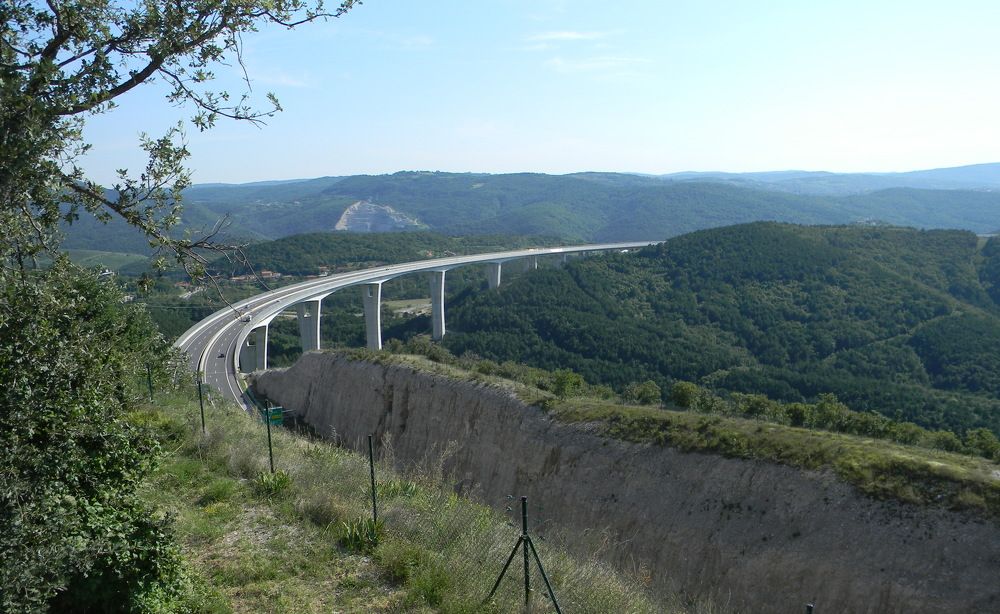 Photo #10906460