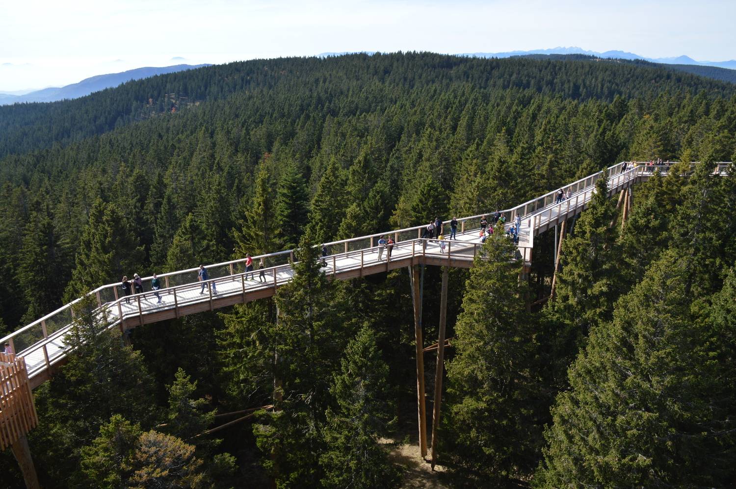 Photo #10906461