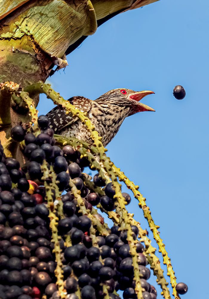 Фотография автора Suresh S S