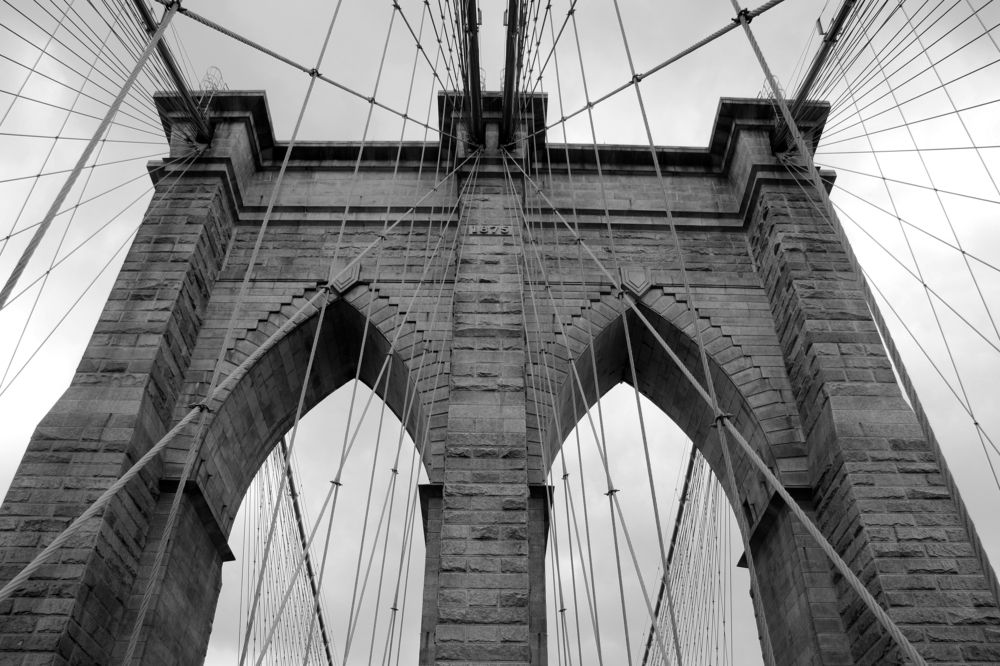 Photograph by Patricia Delionardis