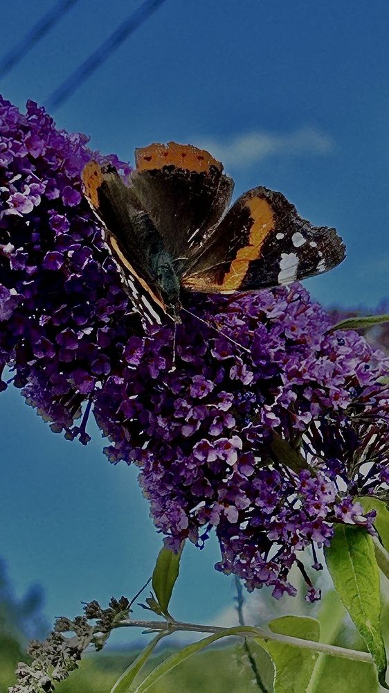 Photograph by Виктория Максименко