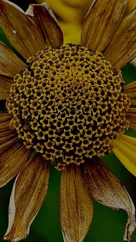 Photograph by Виктория Максименко