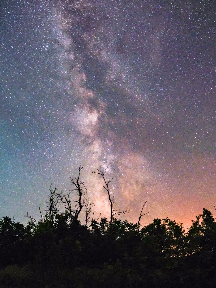 Photograph by Алексей Вагин