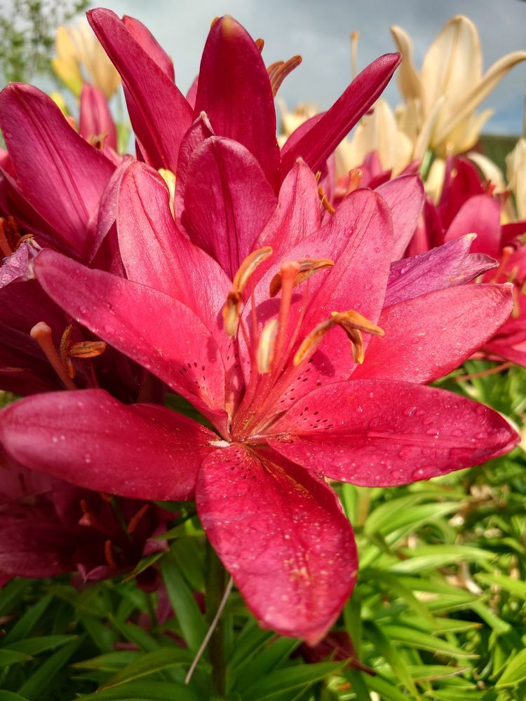 Photograph by Илья Семенчук