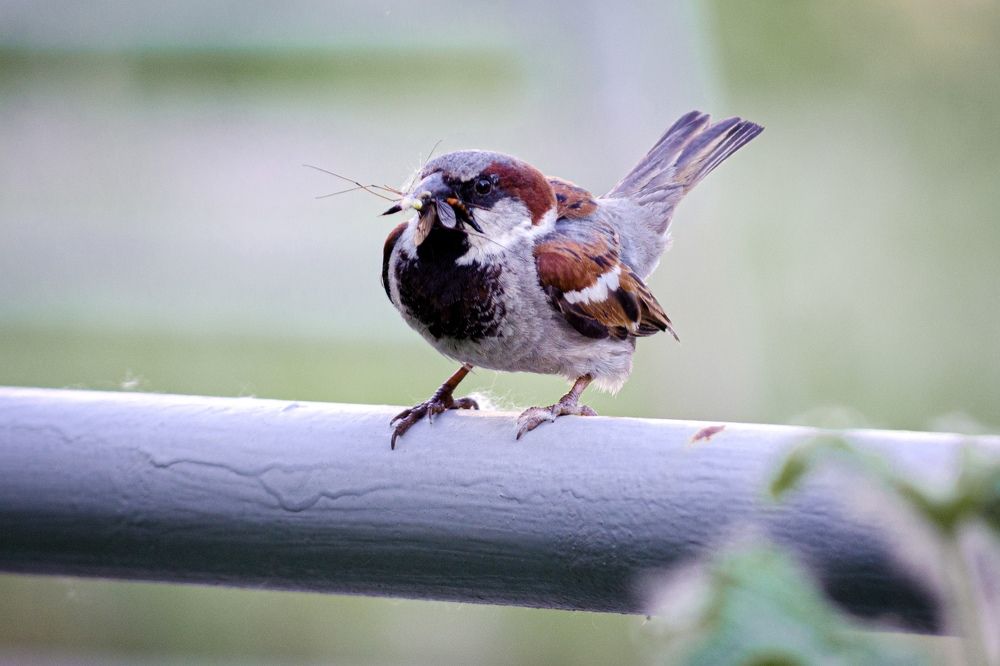 Photograph by Анна Потапова