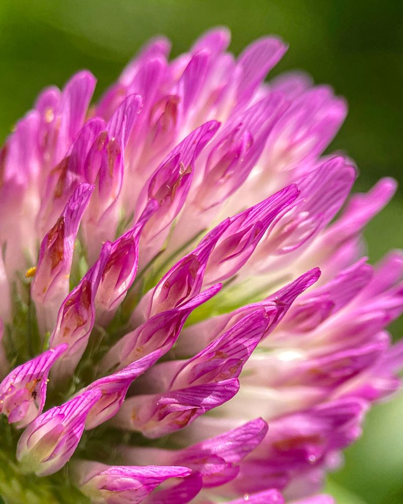 Photograph by Ольга Дорошенко