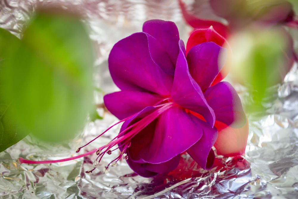 Photograph by Сергей Феофанов