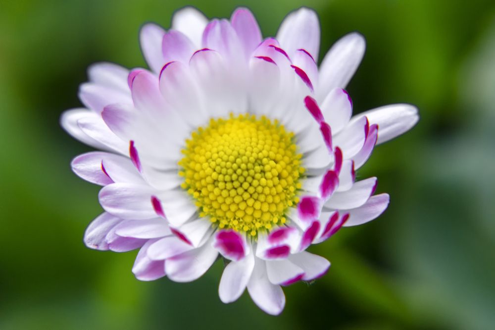 Photograph by Сергей Феофанов