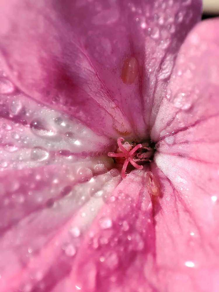 Photograph by Елена Болдырева