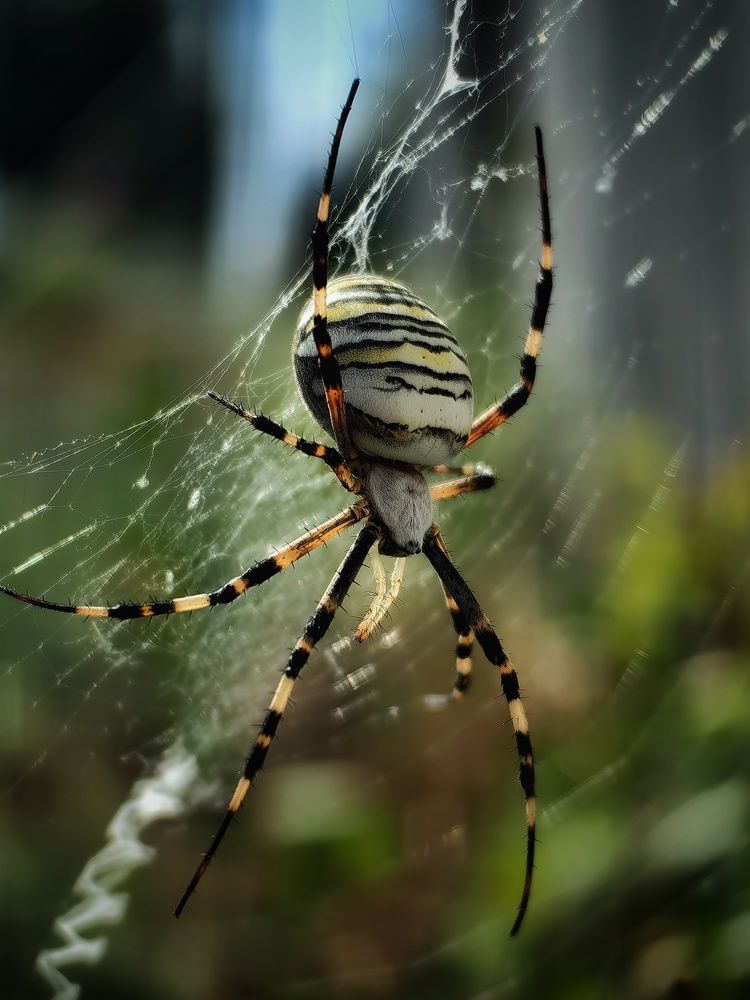 Photograph by Сергей Зайцев