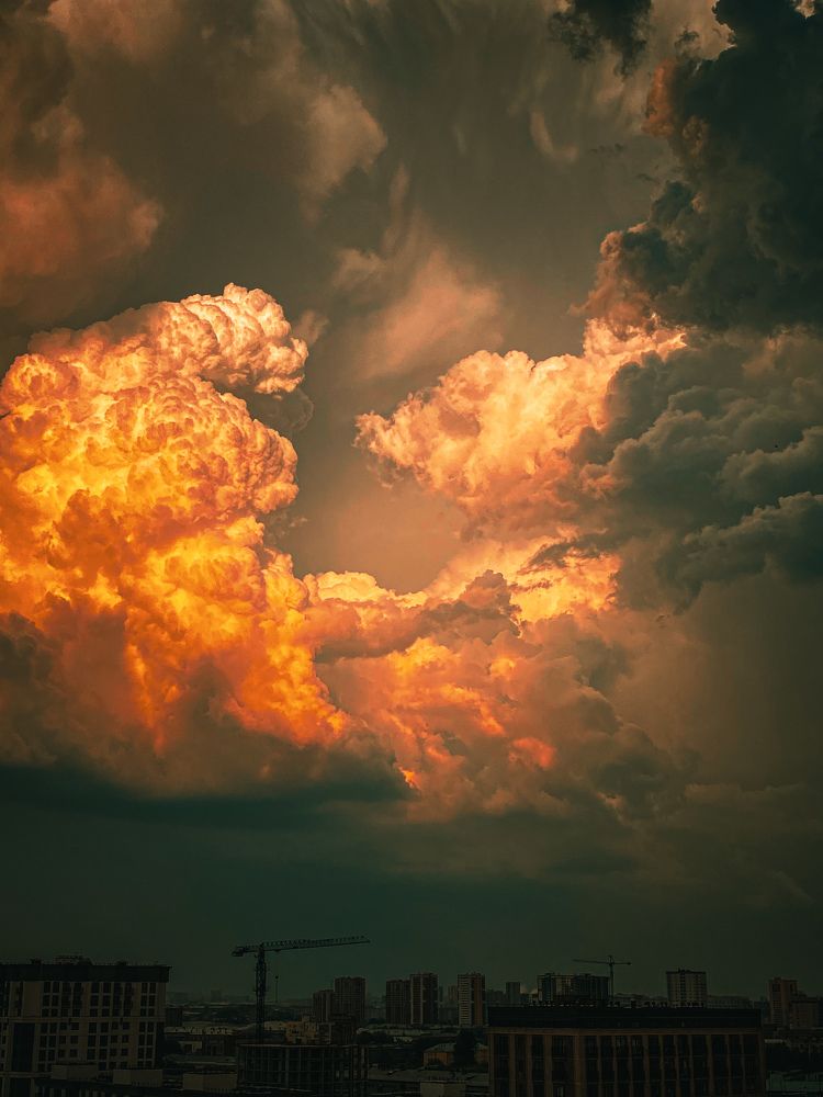 Photograph by Елена Шамраева