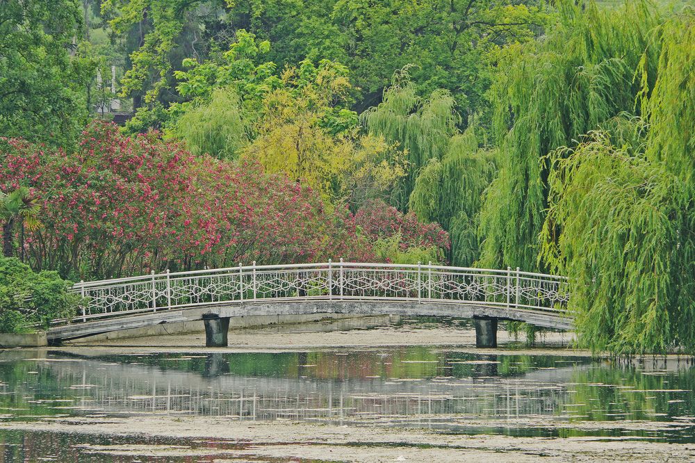 Photograph by Елена Щитова