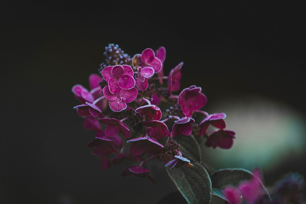 Photograph by ИРЕНА Цурпал