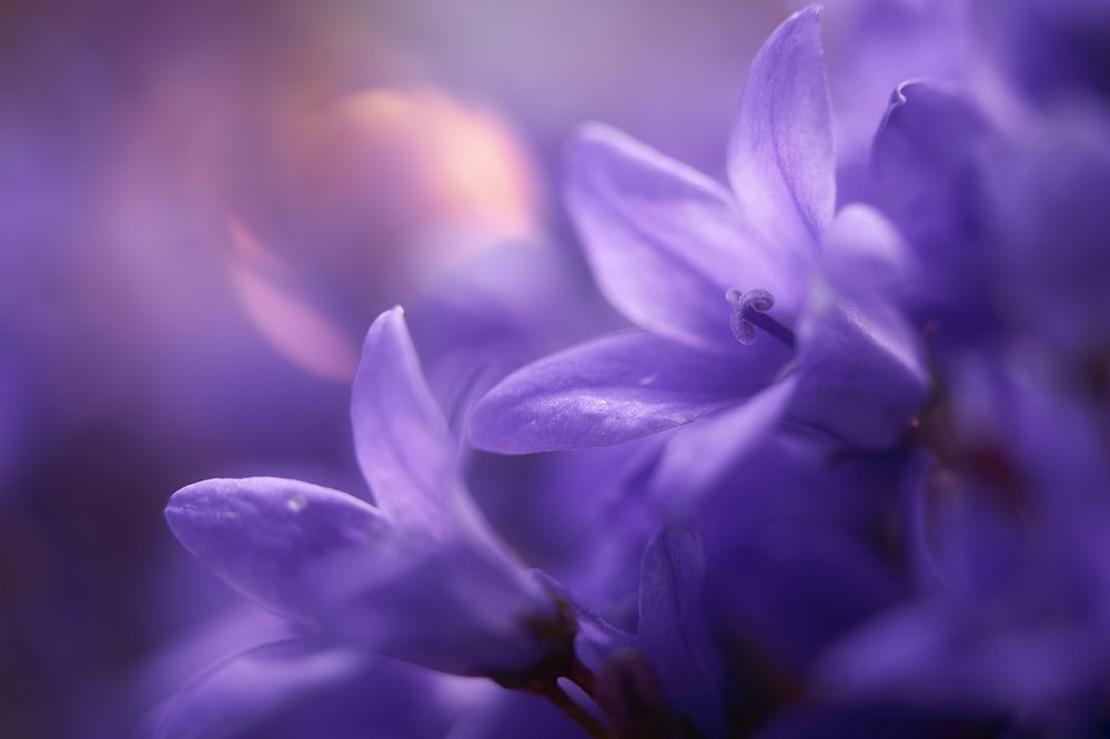 Photograph by Oscar Lata