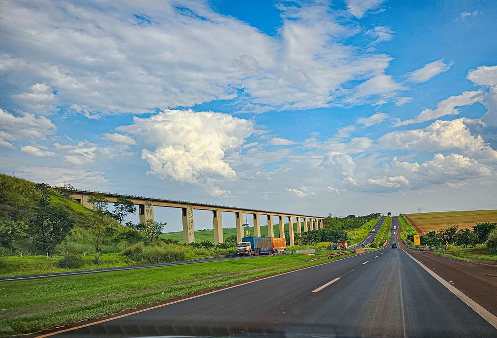 Фотография автора Elaine Almeida