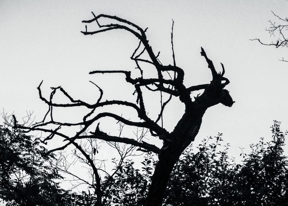 Фотография автора Павел Арсеев