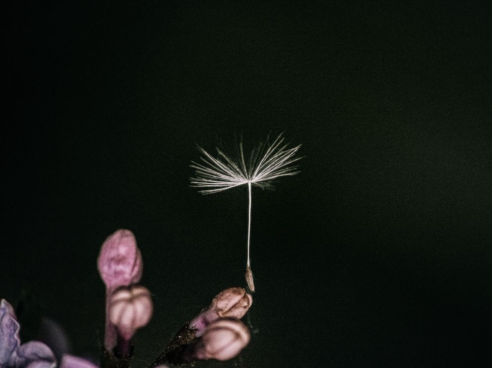 Фотография автора Павел Арсеев