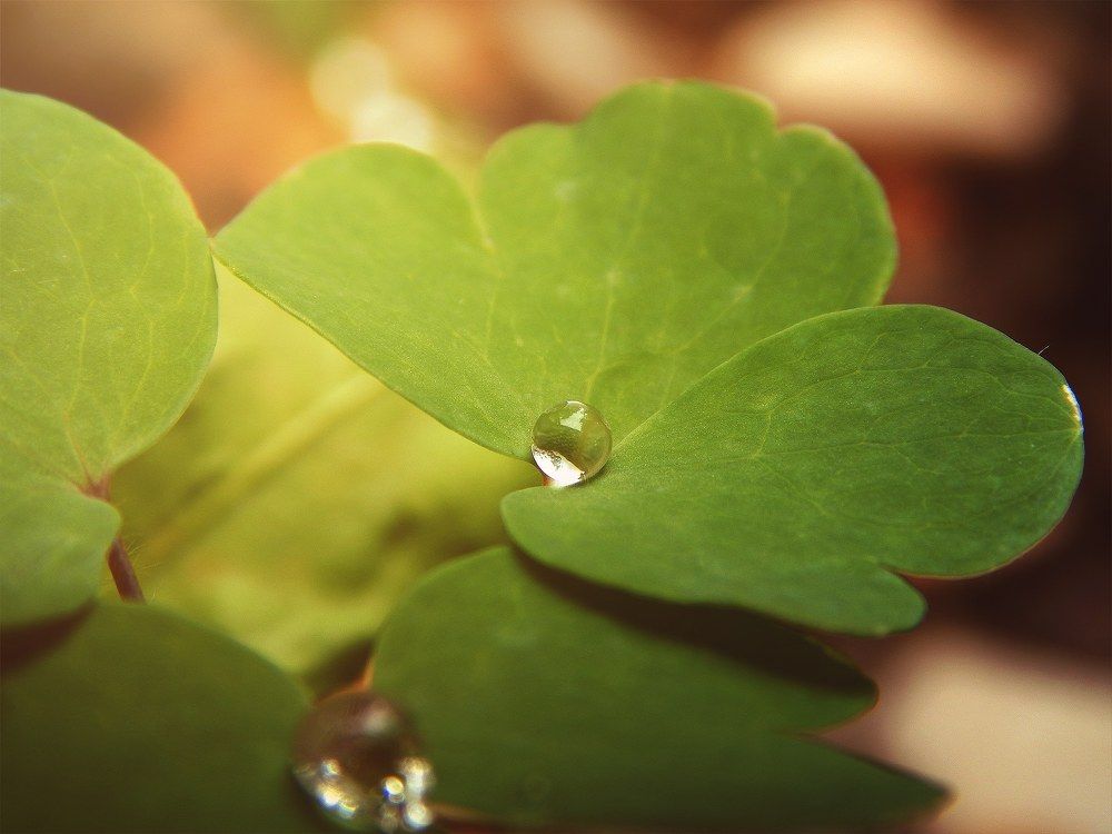 Фотография автора Павел Арсеев