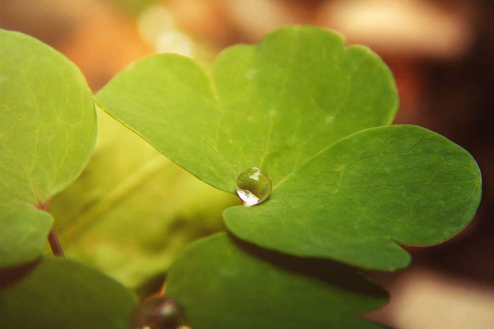 Фотография автора Павел Арсеев