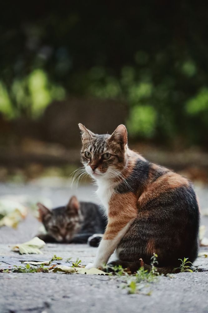 Photograph by Alexander Omelchuk