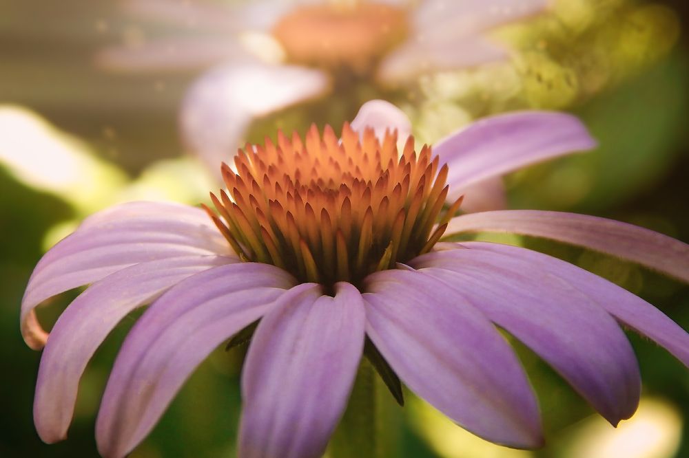 Фотография автора Павел Арсеев