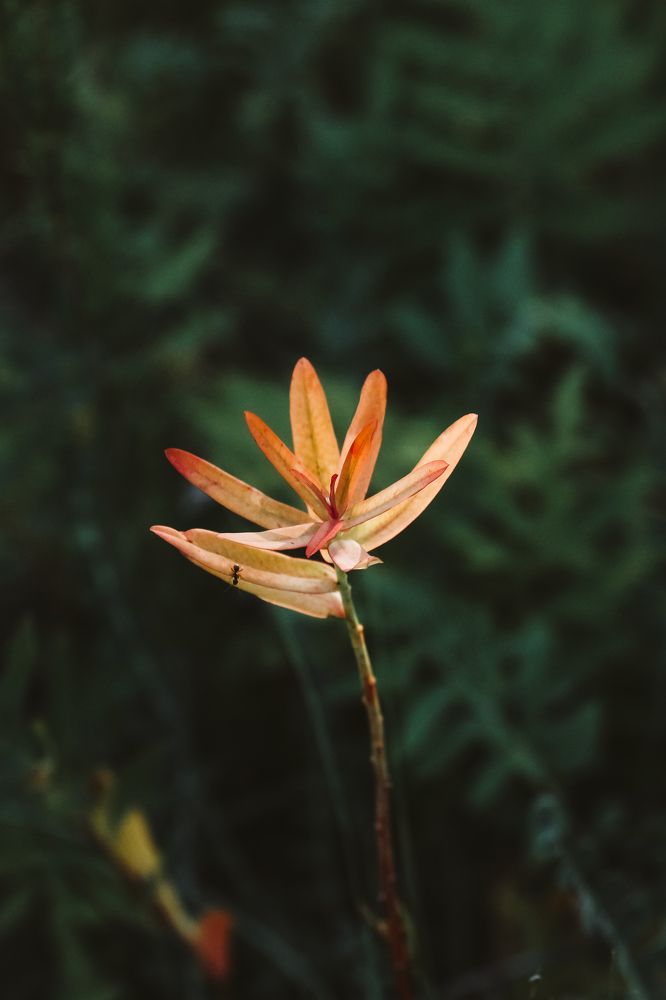 Фотография автора Павел Арсеев