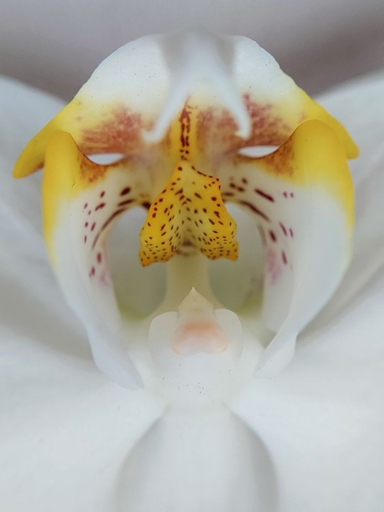 Photograph by Елена Шишкина