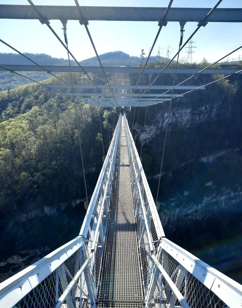 Фотография автора Елена Пикатова