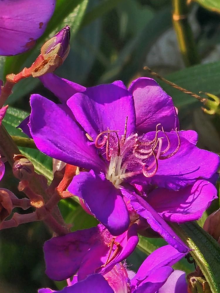 Фотография автора Elaine Almeida