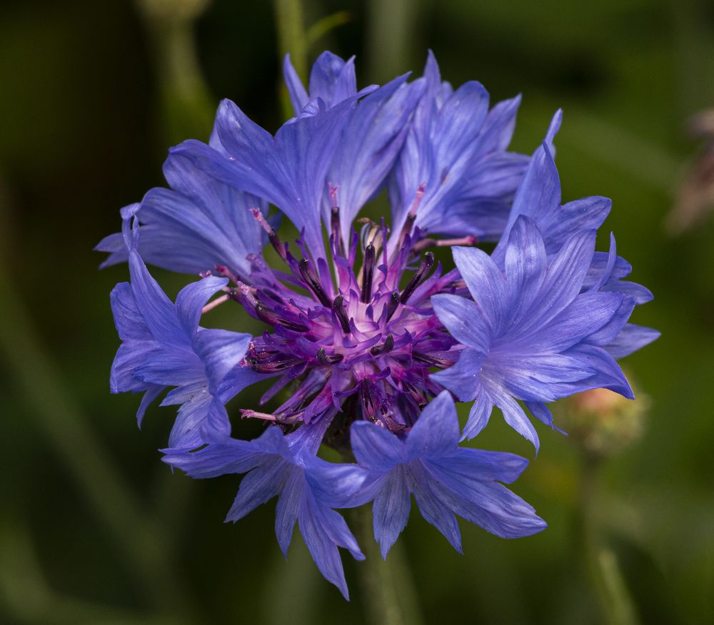 Photograph by Сергей Белов