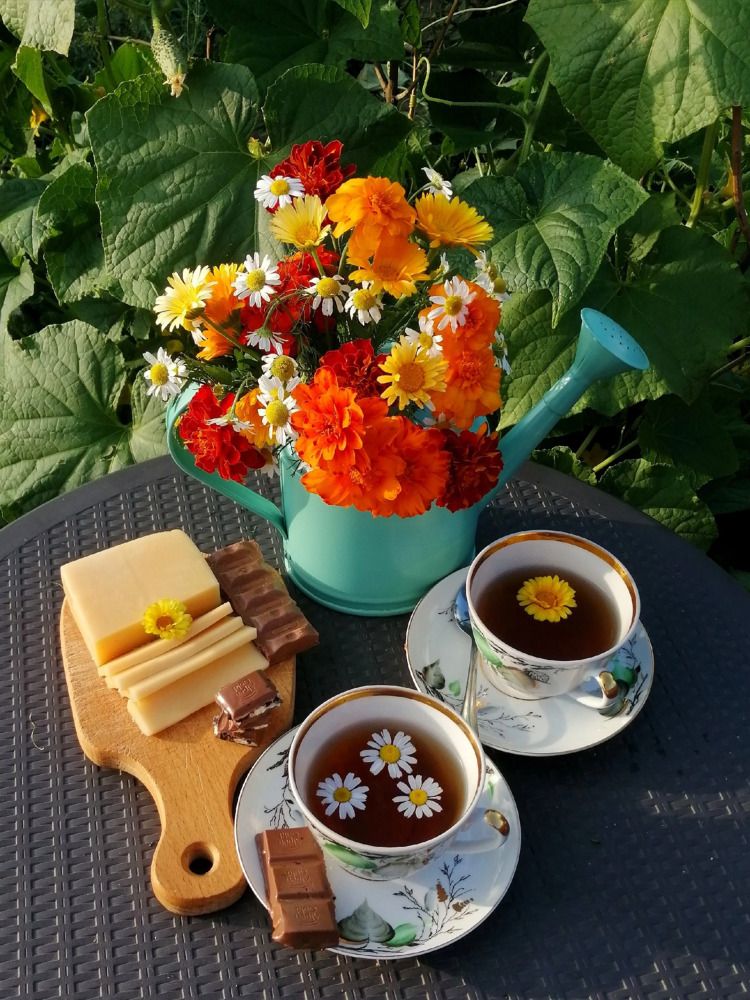 Photograph by Елена Чернякова