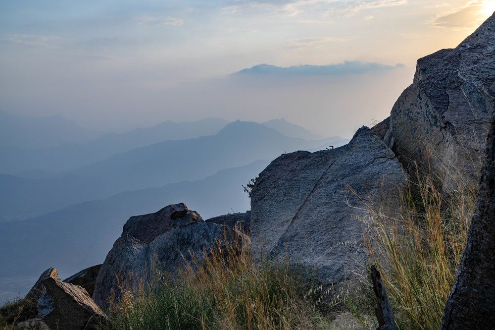 Photograph by Ali Alqassab