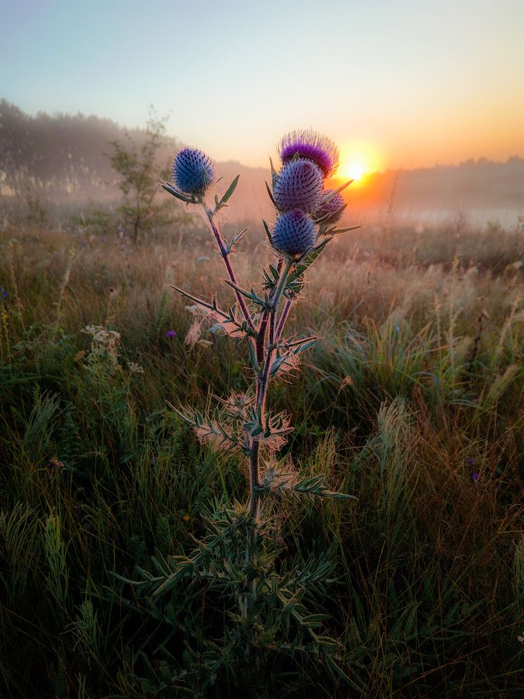 Photograph by Кондрашова Светлана