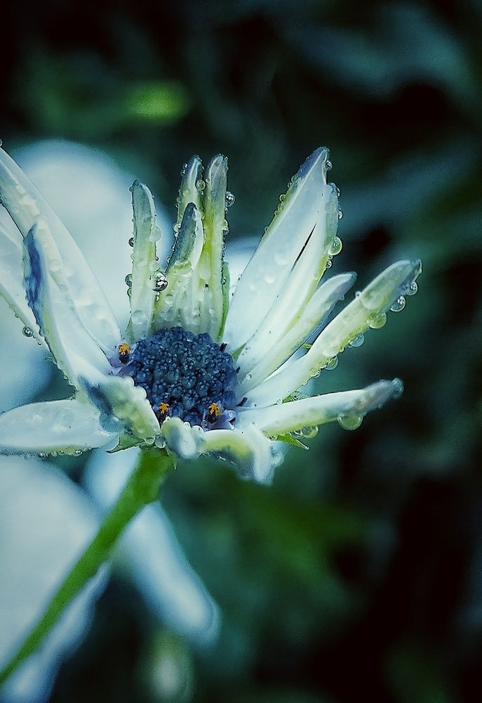 Photograph by Ольга Мартьянова