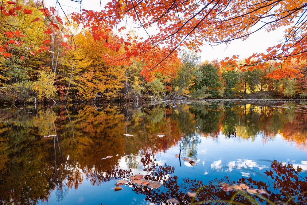 Photograph by Jack Bespalove