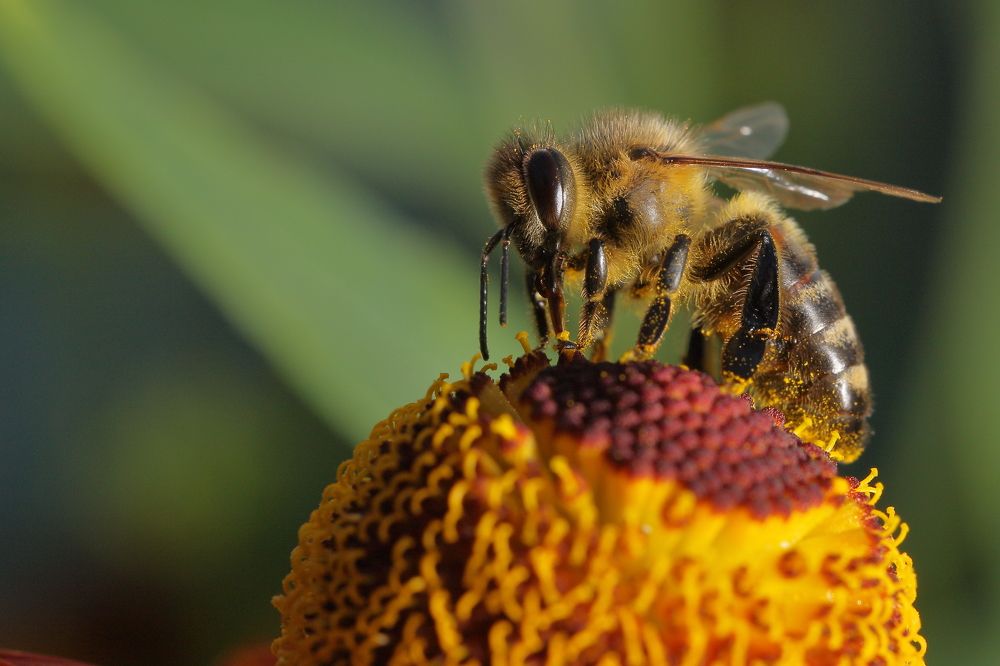 Photograph by Виктор Ноговицин