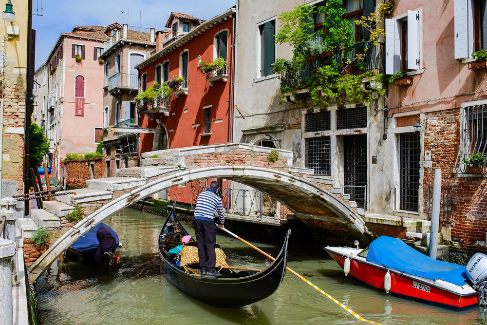 Photograph by Алексей