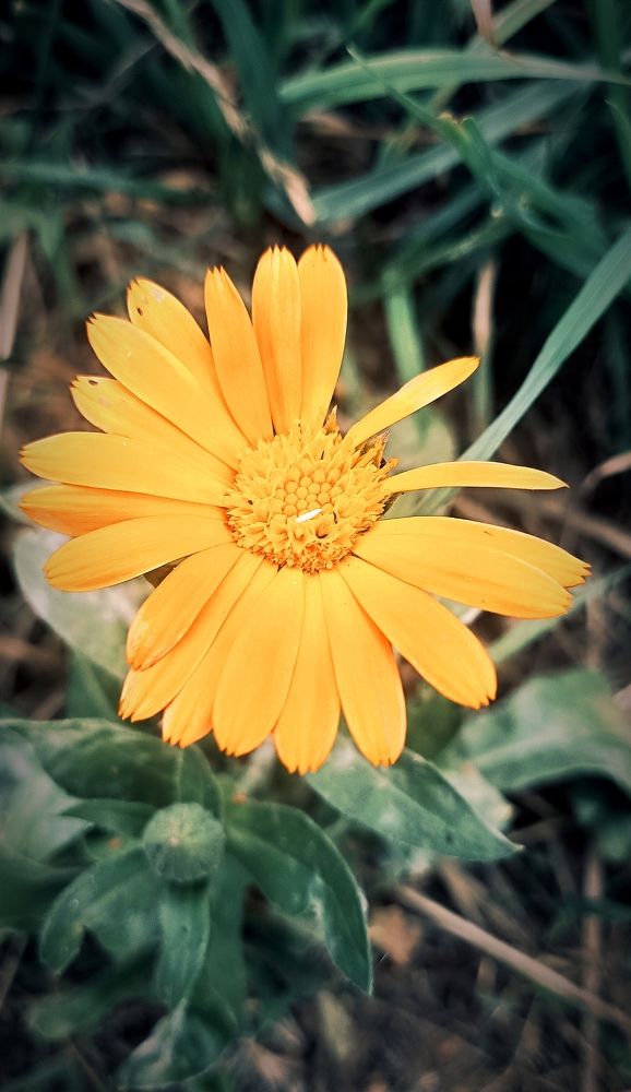 Photograph by Mishel Photographer