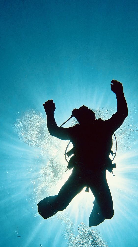 Photograph by Мария Берёзка