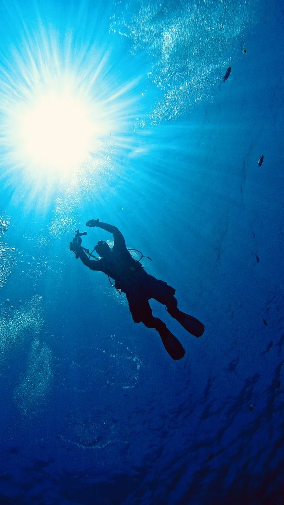 Photograph by Мария Берёзка