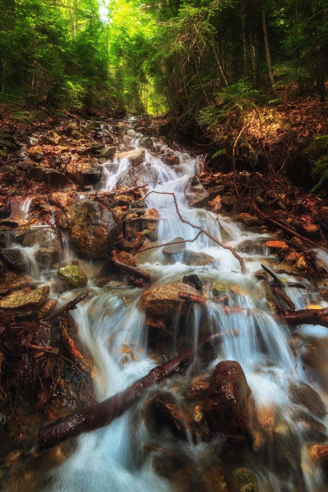 Photograph by Павел Абакумов