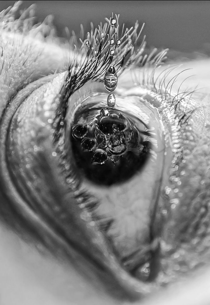 Photograph by Anya Lo