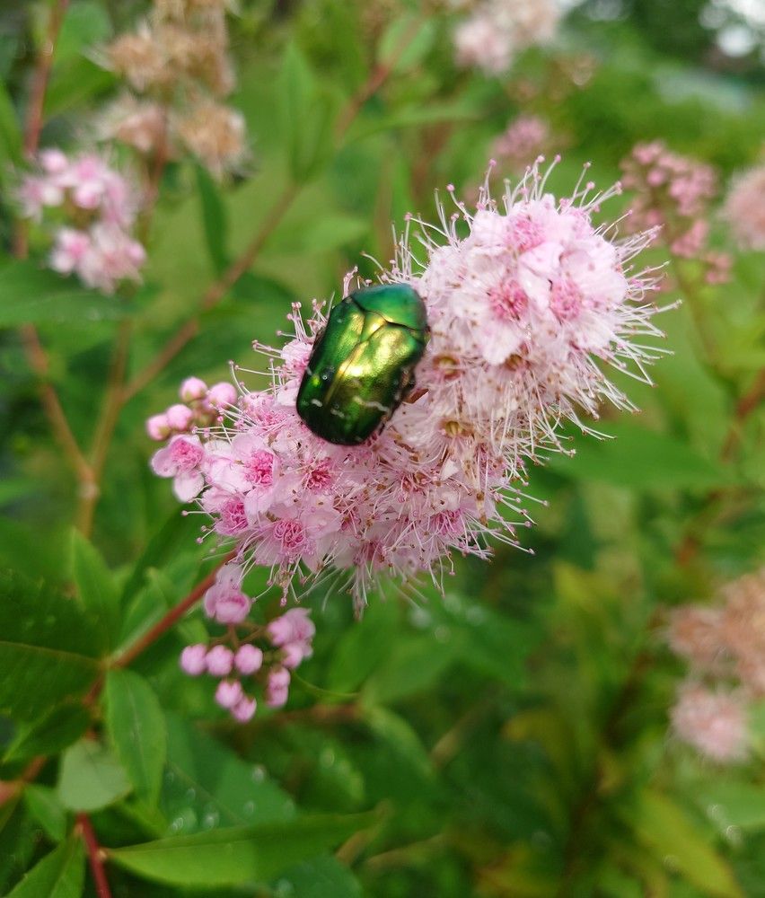 Photograph by Илья Семенчук