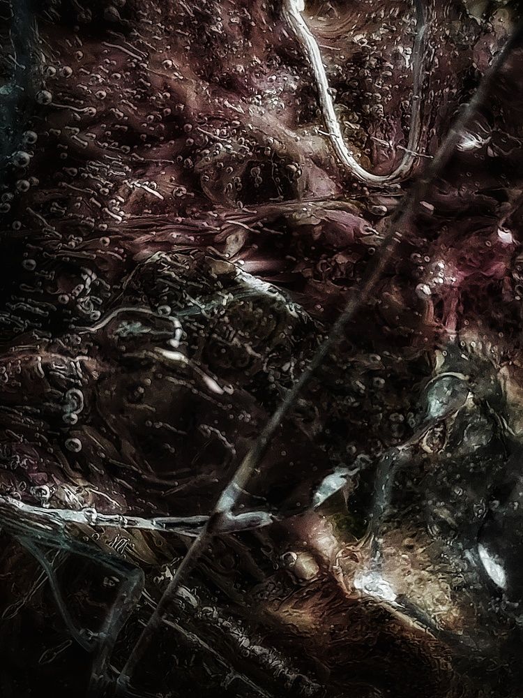 Photograph by Наталия Дроздова