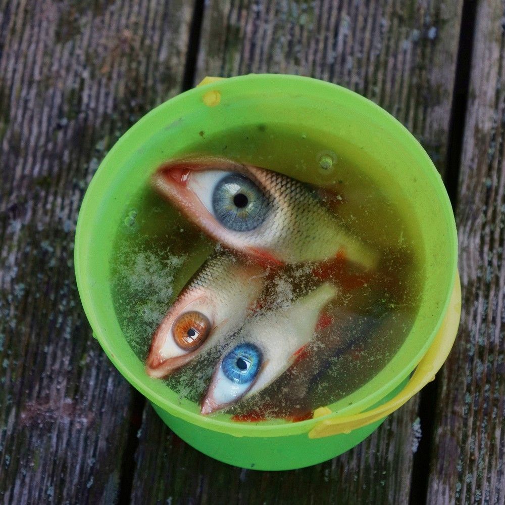 Photograph by Татьяна Максакова