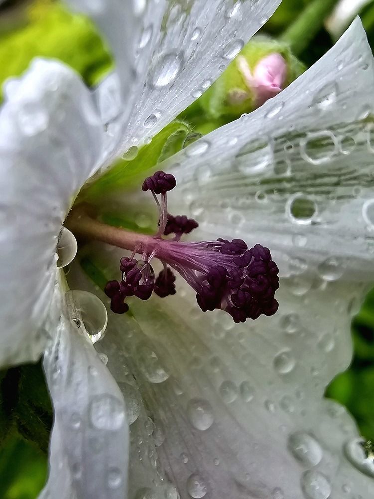 Photograph by Анна Семенова