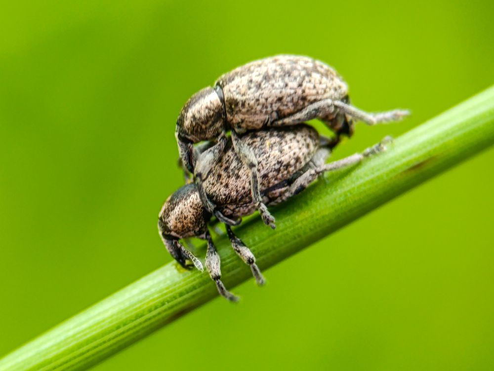 Photograph by Юлия Смирнова