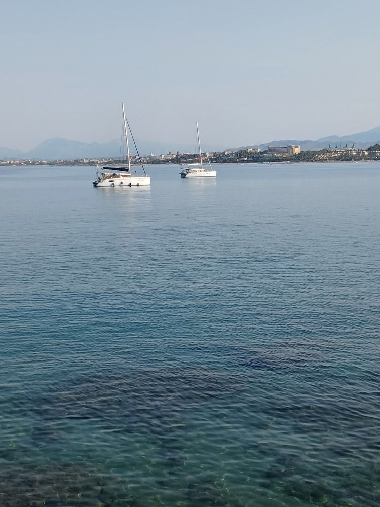 Photograph by Root Dariia