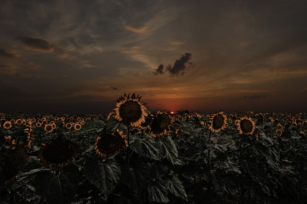 Photograph by Miroslav Šima