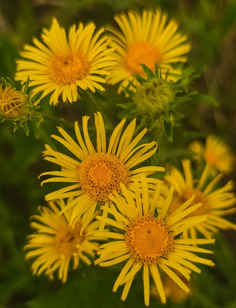 Photograph by Елена Рудкевич